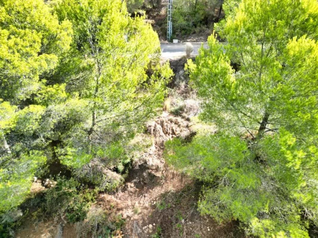 Terreno en venta en Callosa d''En Sarria, Alicante photo 3