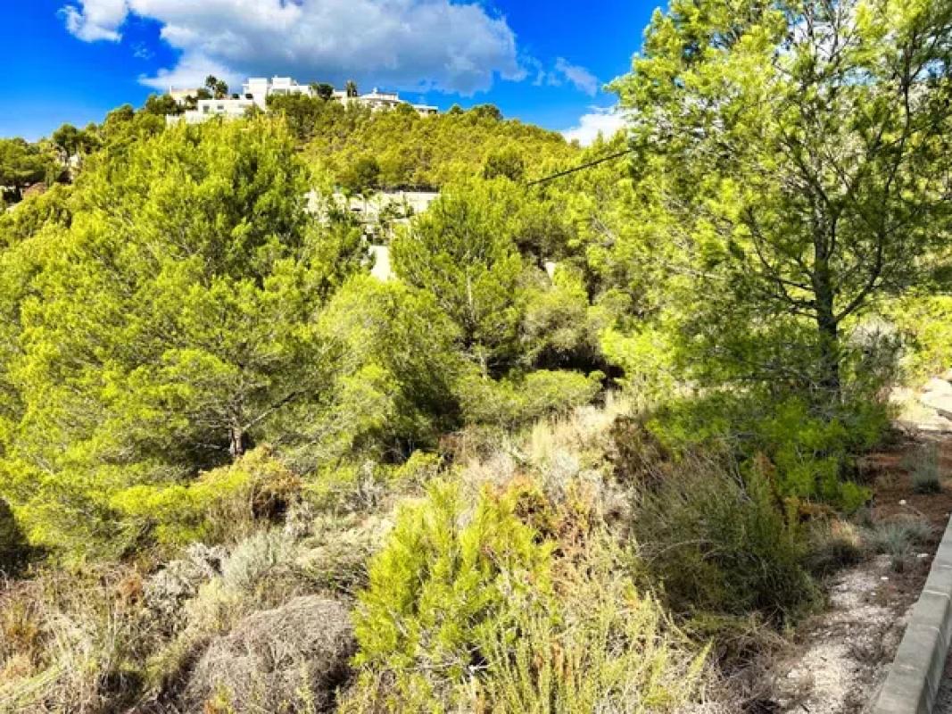 Terreno en venta en Callosa d''En Sarria, Alicante photo 4