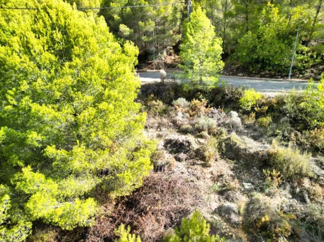 Terreno en venta en Callosa d''En Sarria, Alicante photo 5