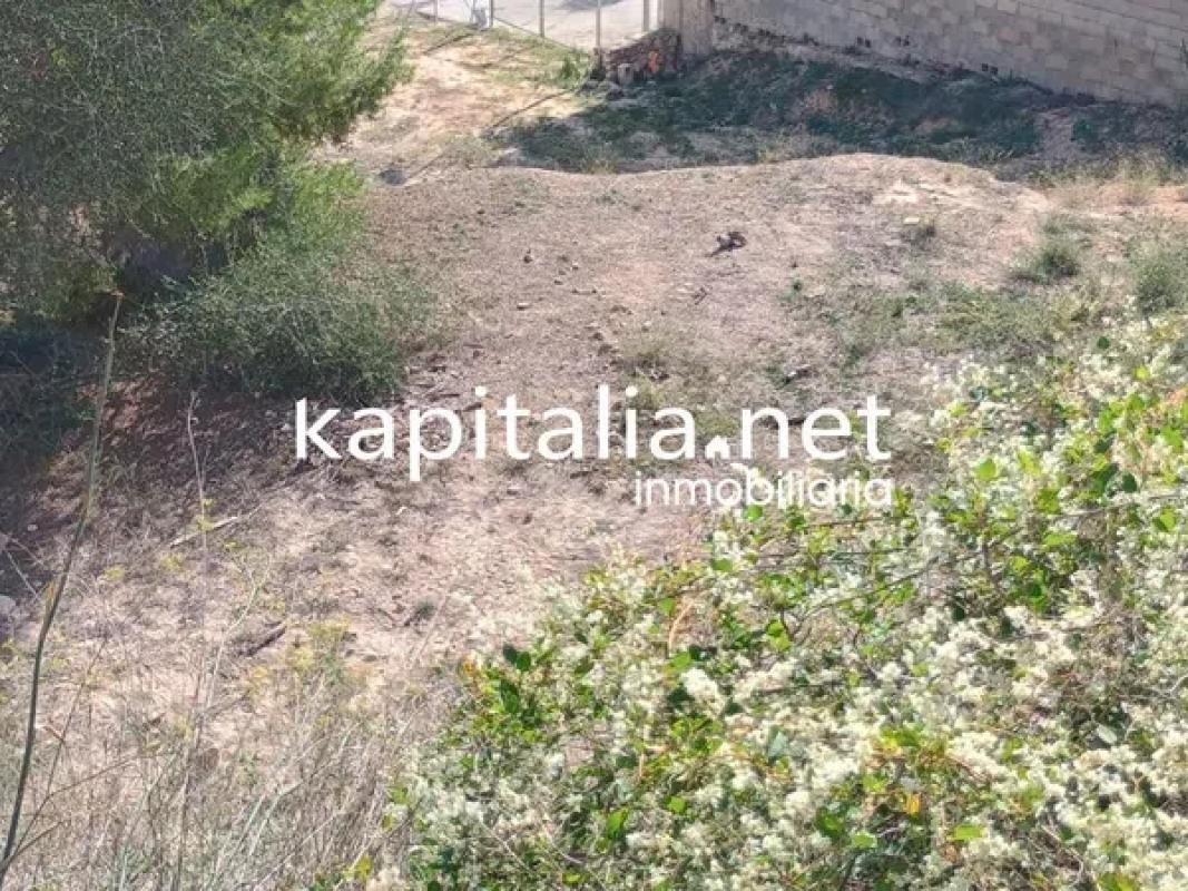 Land for sale in Cocentaina, Alicante photo 3