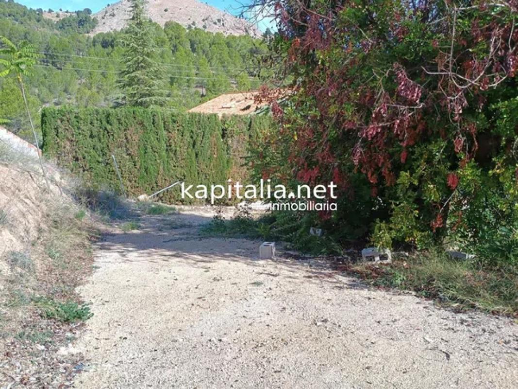 Land for sale in Cocentaina, Alicante photo 4