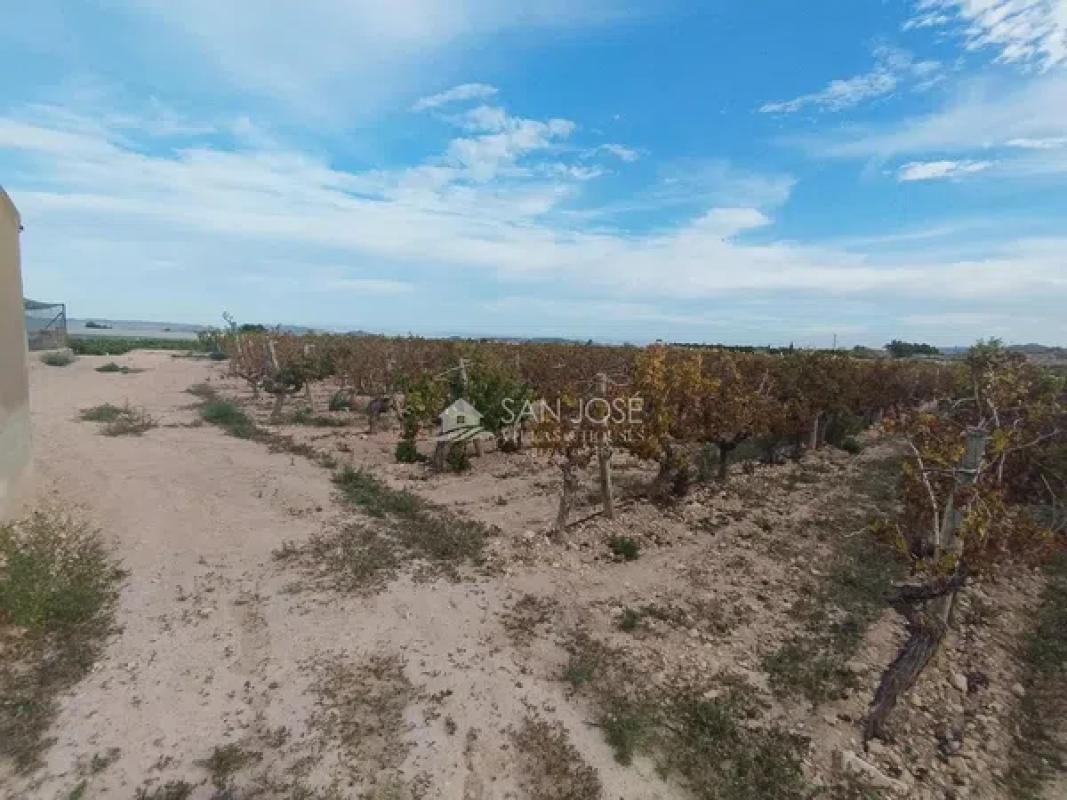 Terreno en venta en Novelda, Alicante photo 1