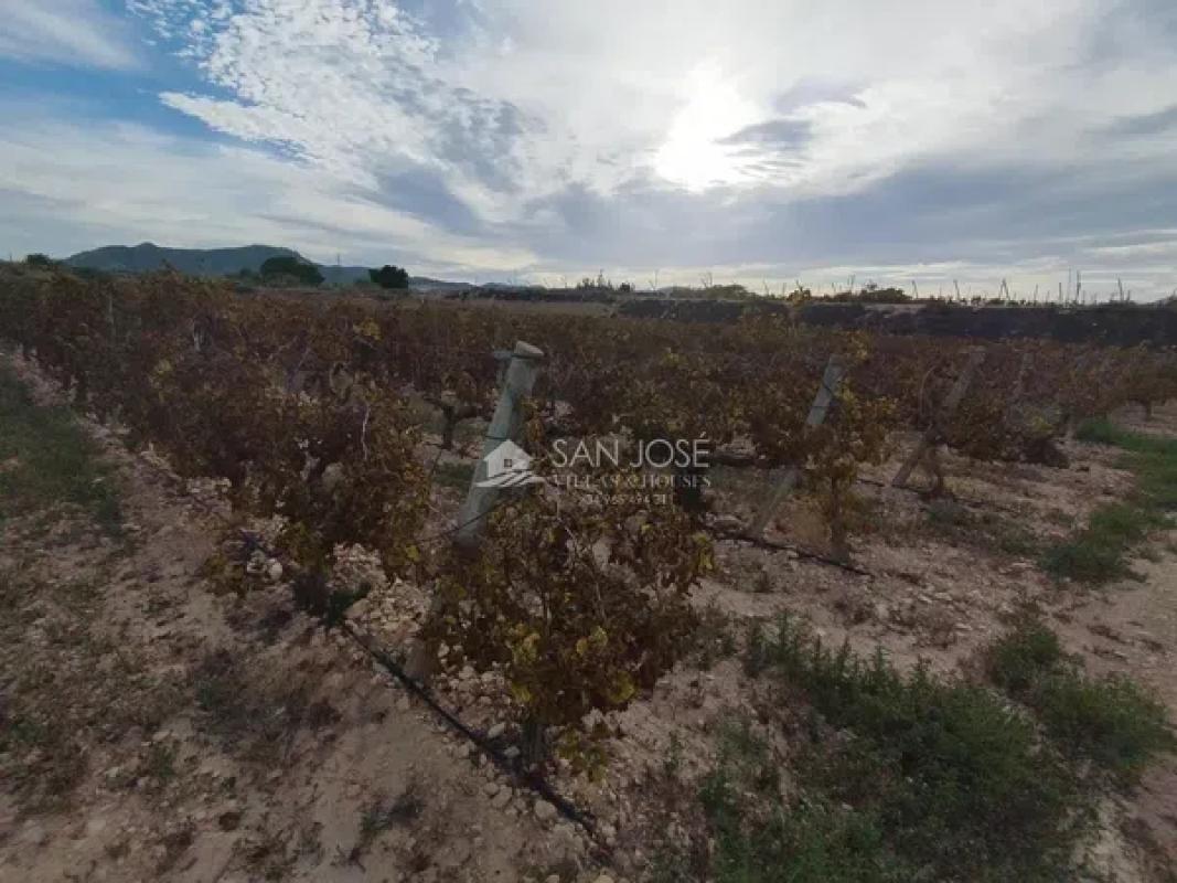 Terreno en venta en Novelda, Alicante photo 4