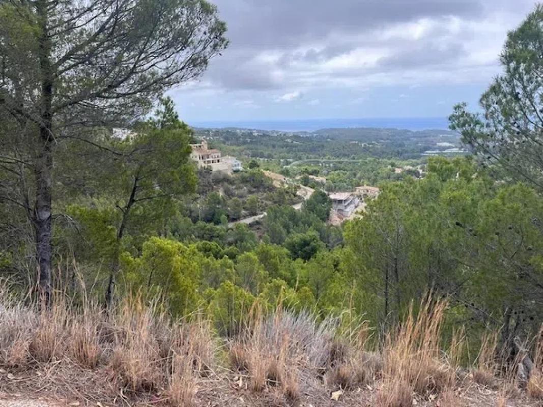Terreno en venta en Callosa d''En Sarria, Alicante photo 1