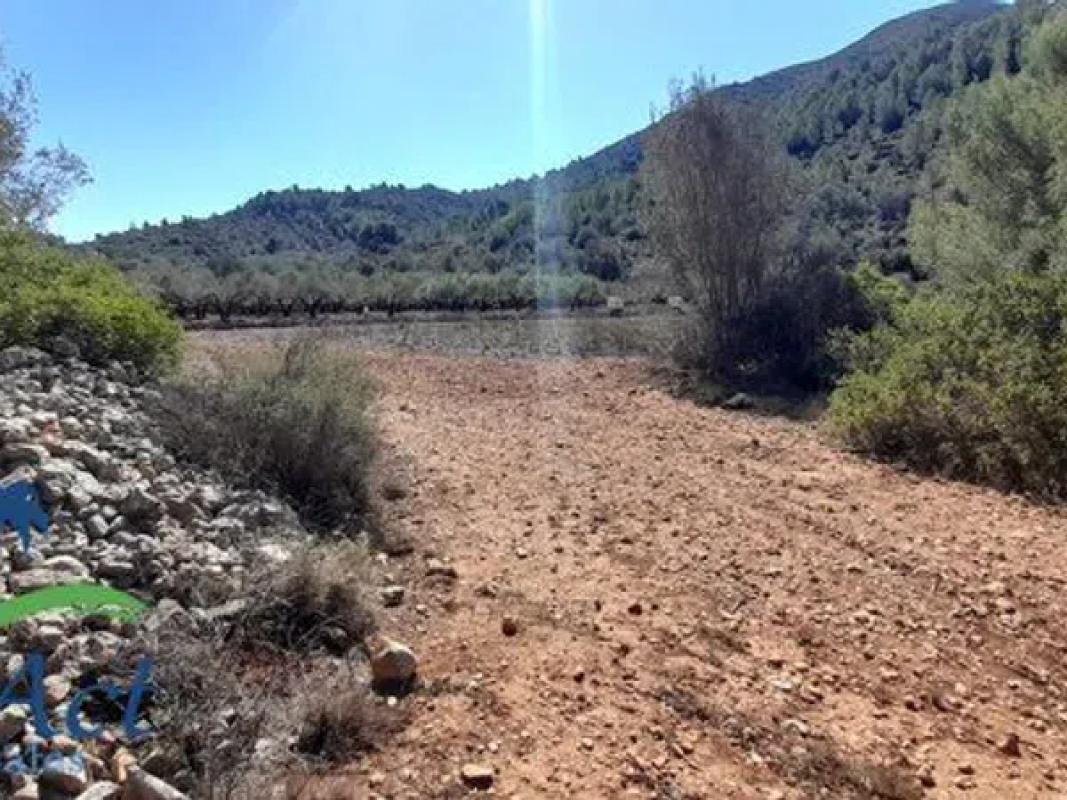 Terreno en venta en Alcalalí, Alicante photo 2