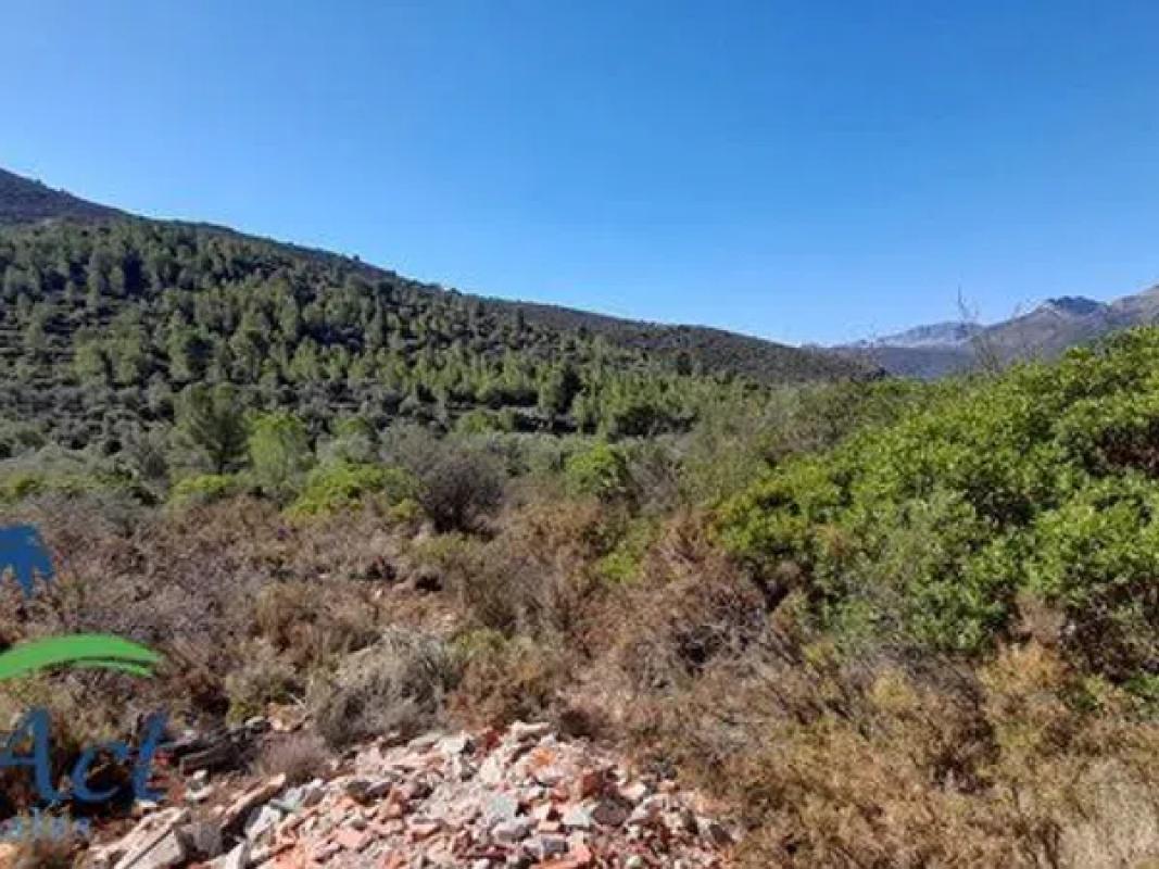 Terreno en venta en Alcalalí, Alicante photo 5