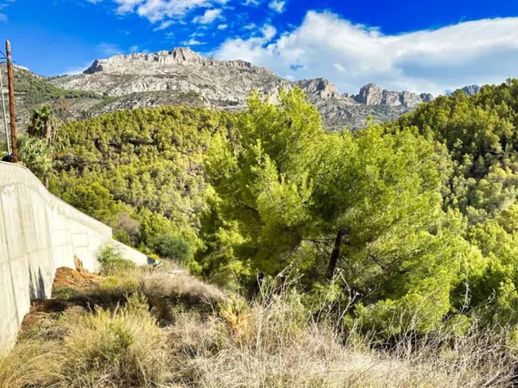 Terreno en venta en Callosa d''En Sarria, Alicante photo 3