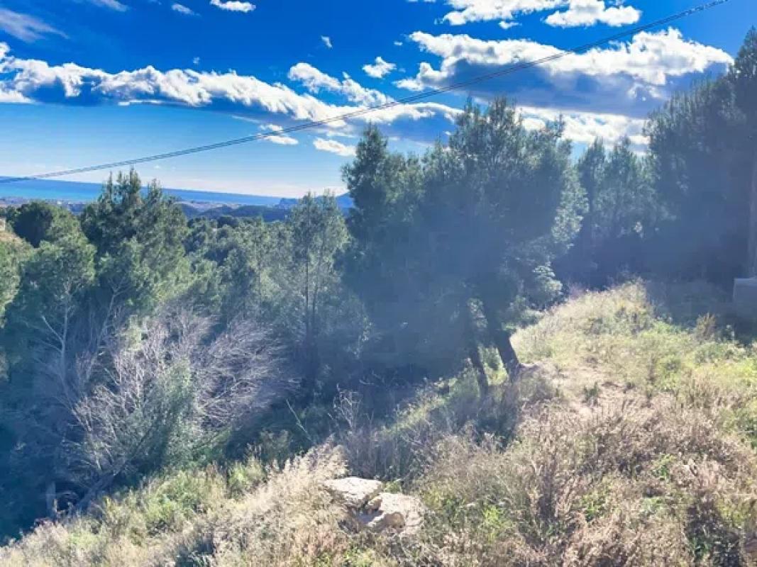 Terreno en venta en Callosa d''En Sarria, Alicante photo 5