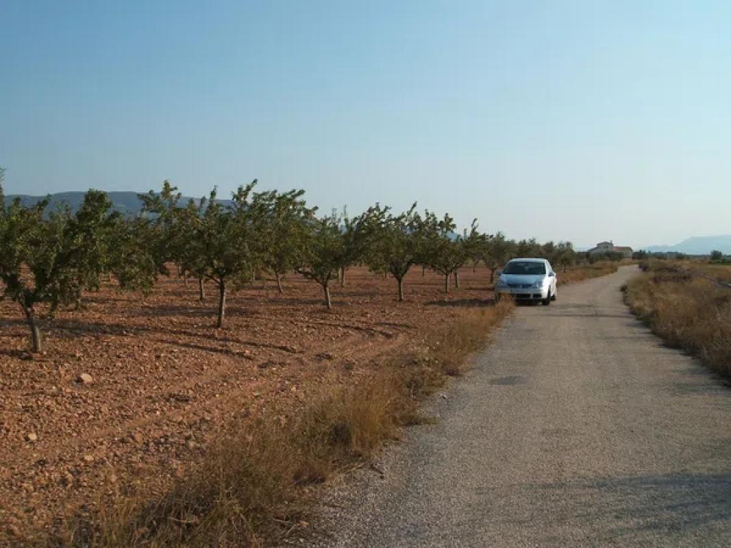 Land for sale in Biar, Alicante photo 1