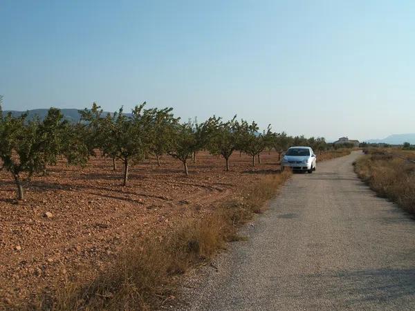 Terreno en Biar photo 1
