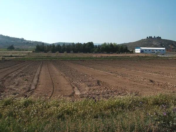 Terreno en Biar photo 2