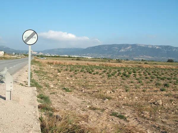 Terreno en Biar photo 4