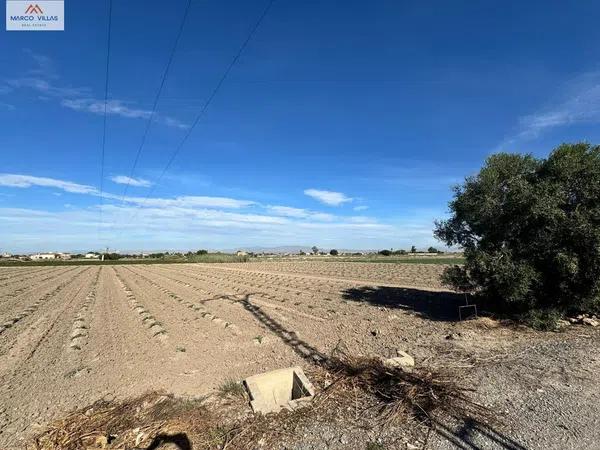 Terreno en Dolores photo 1