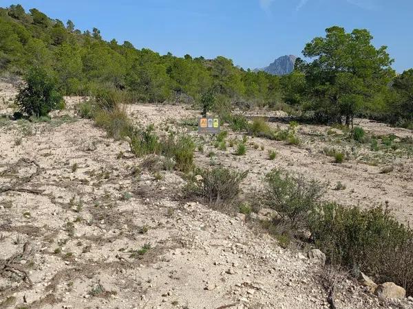 Terreno en Relleu photo 1