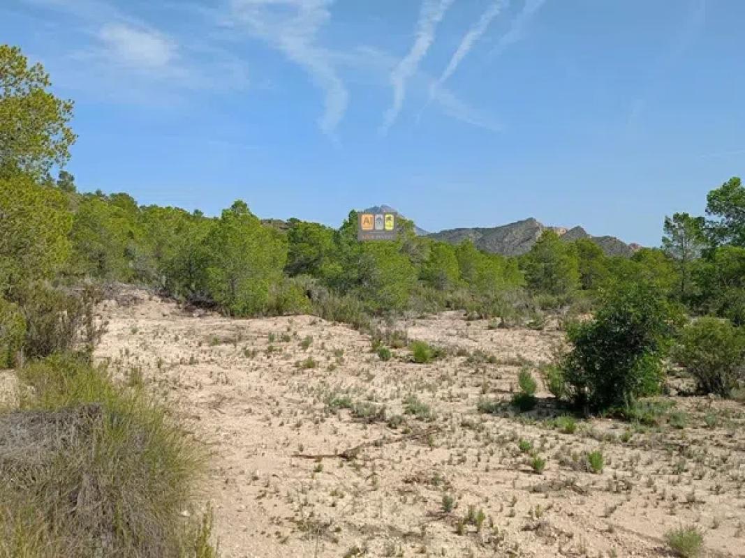 Terreno en venta en Relleu, Alicante photo 5