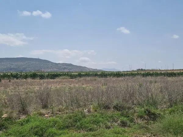 Terreno en Pinoso photo 2