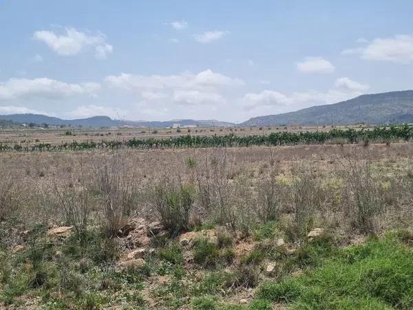 Terreno en Pinoso photo 4