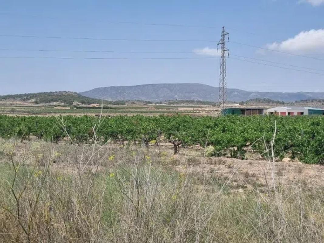 Terreno en venta en Pinoso, Alicante photo 5