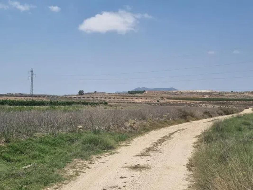 Działka na sprzedaż w Pinoso, Alicante photo 2