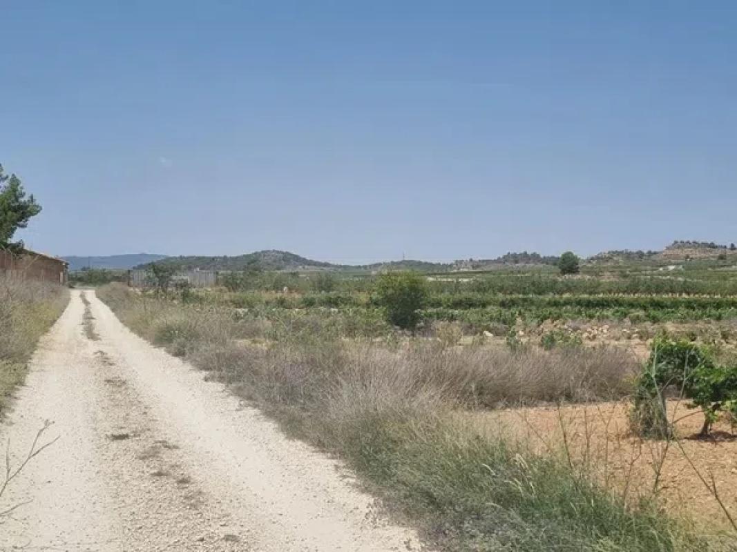 Działka na sprzedaż w Pinoso, Alicante photo 1