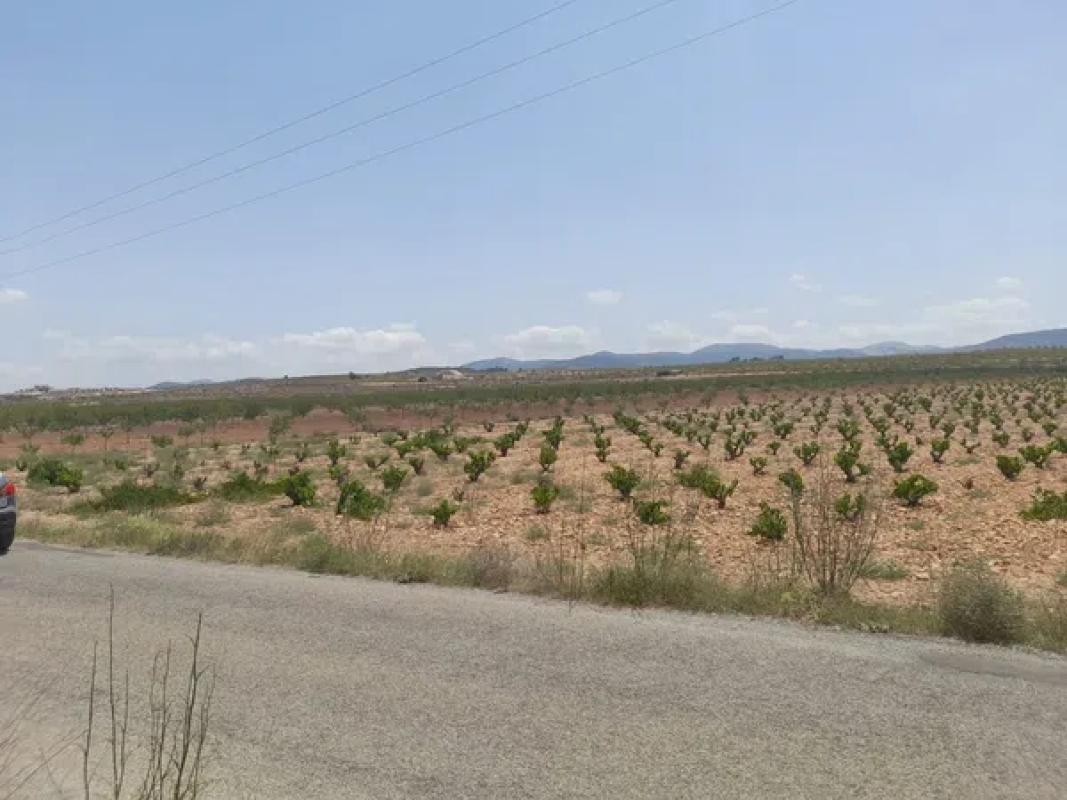 Terreno en venta en Pinoso, Alicante photo 2