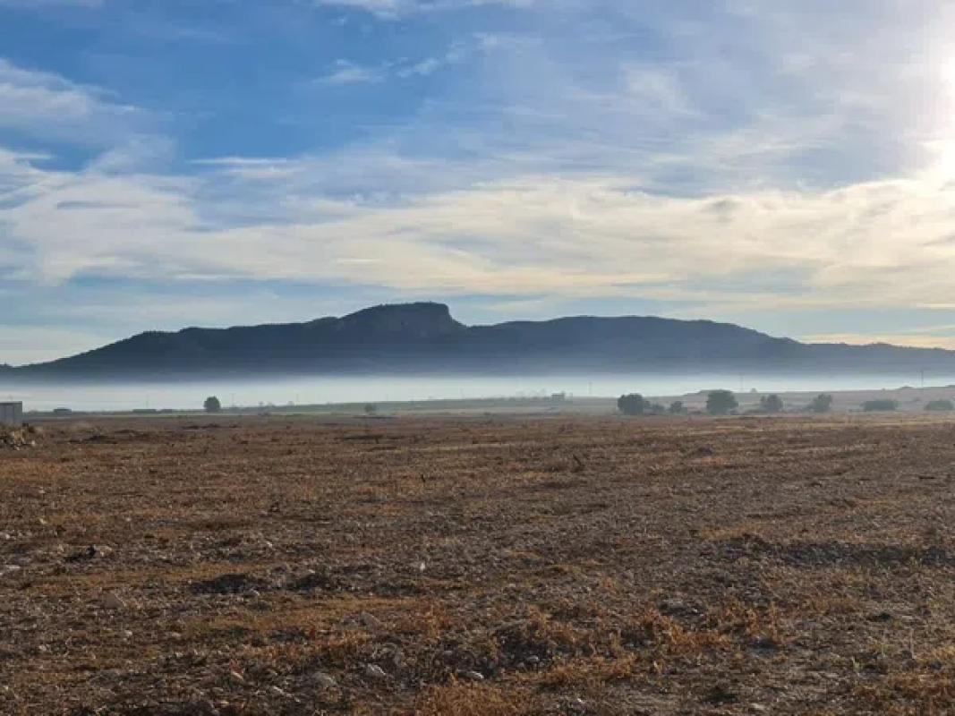 Land for sale in Monovar, Alicante photo 1