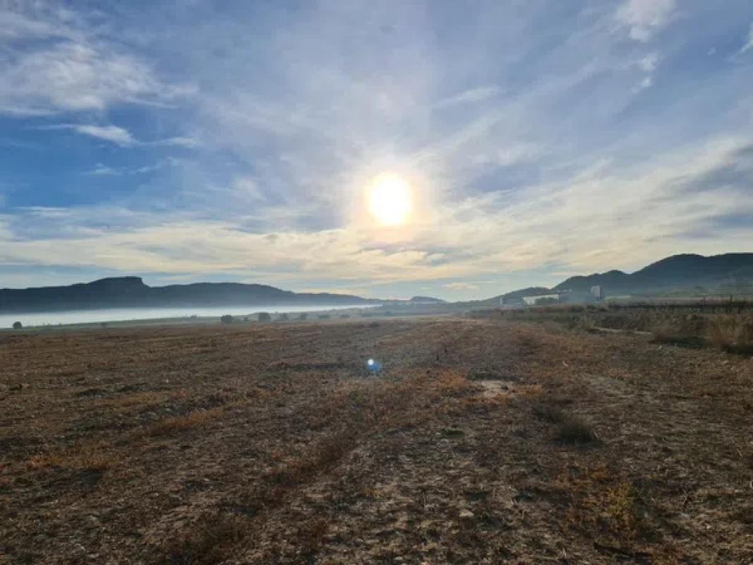 Land for sale in Monovar, Alicante photo 5