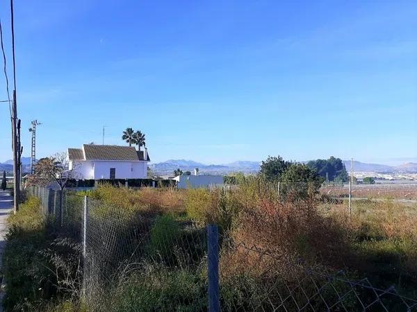 Terreno en Monforte del Cid photo 3