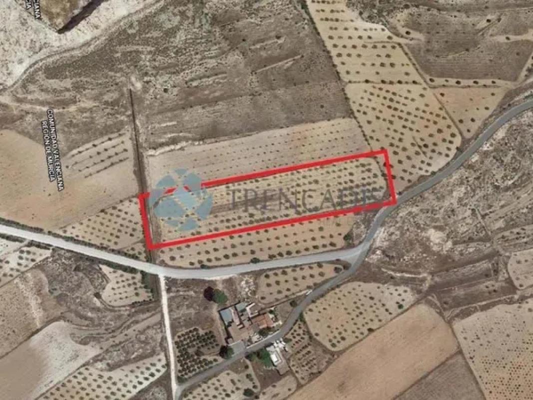 Terreno en venta en Pinoso, Alicante photo 4