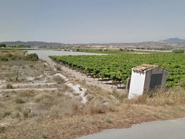 Terreno en camino hondo photo 3