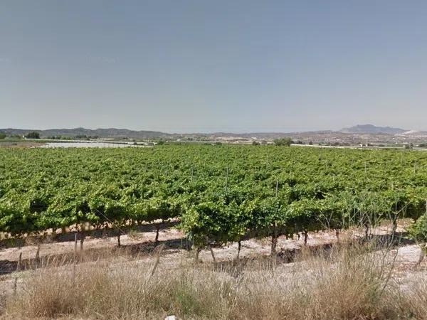 Terreno en camino hondo photo 4