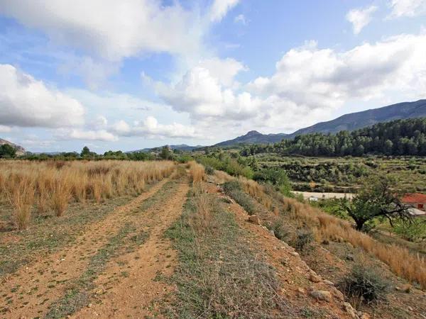 Terreno en Murla photo 4