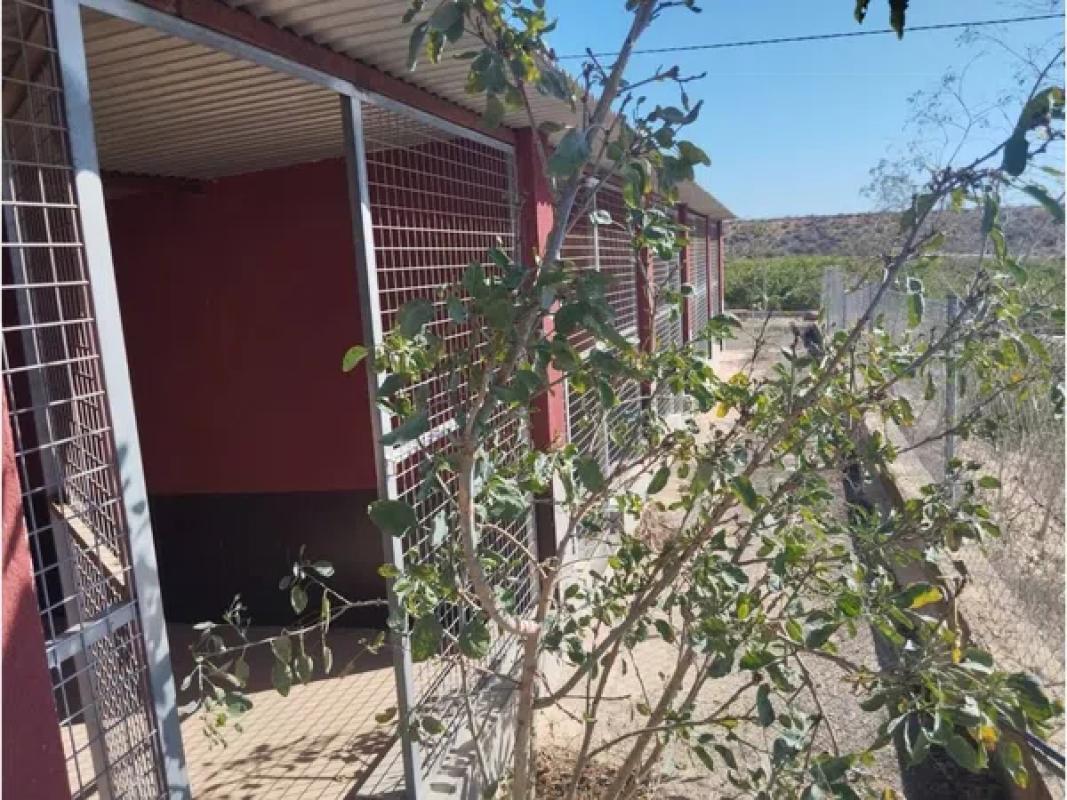 Terreno en venta en Los Montesinos, Alicante photo 4