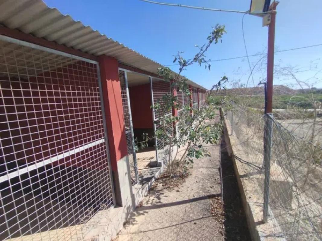 Terreno en venta en Los Montesinos, Alicante photo 5