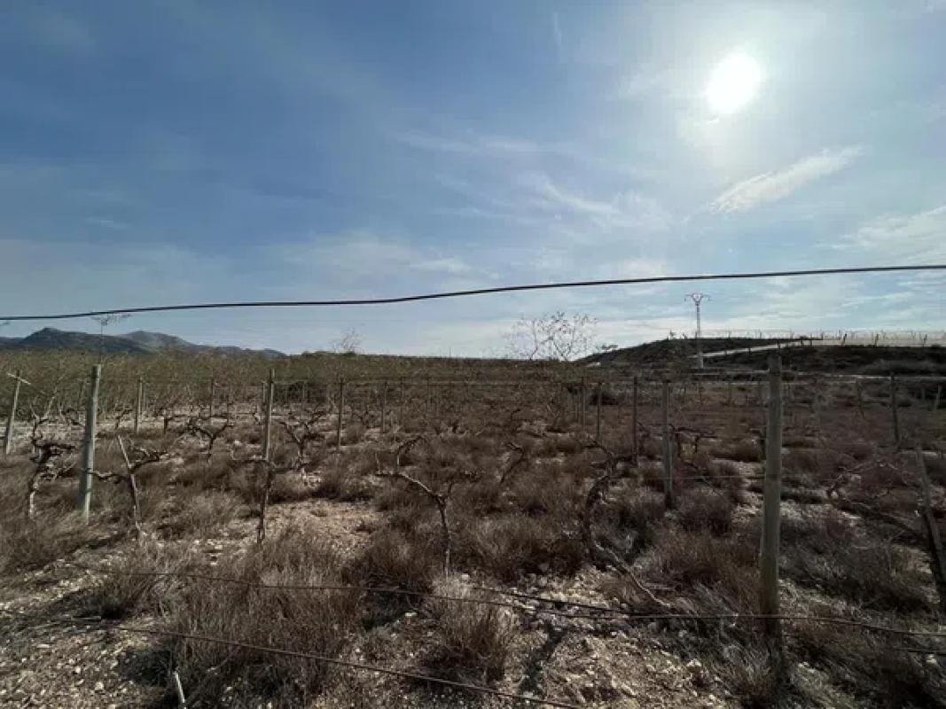 Land for sale in Monforte del Cid, Alicante photo 2