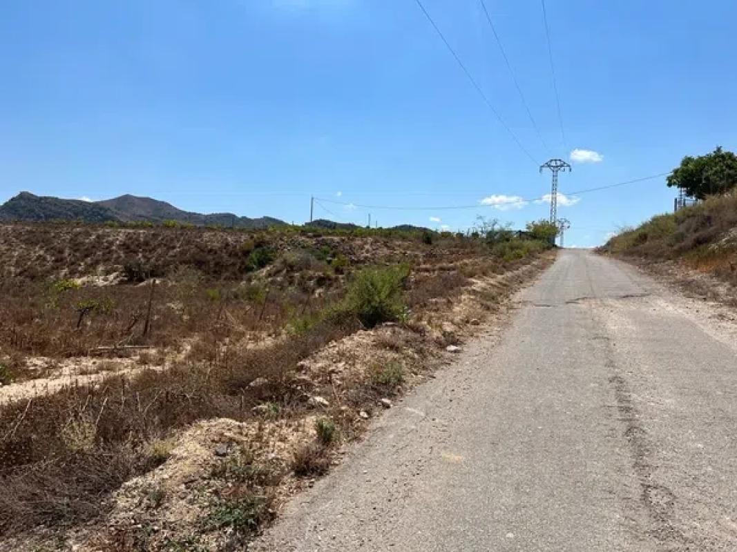 Land for sale in Monforte del Cid, Alicante photo 4