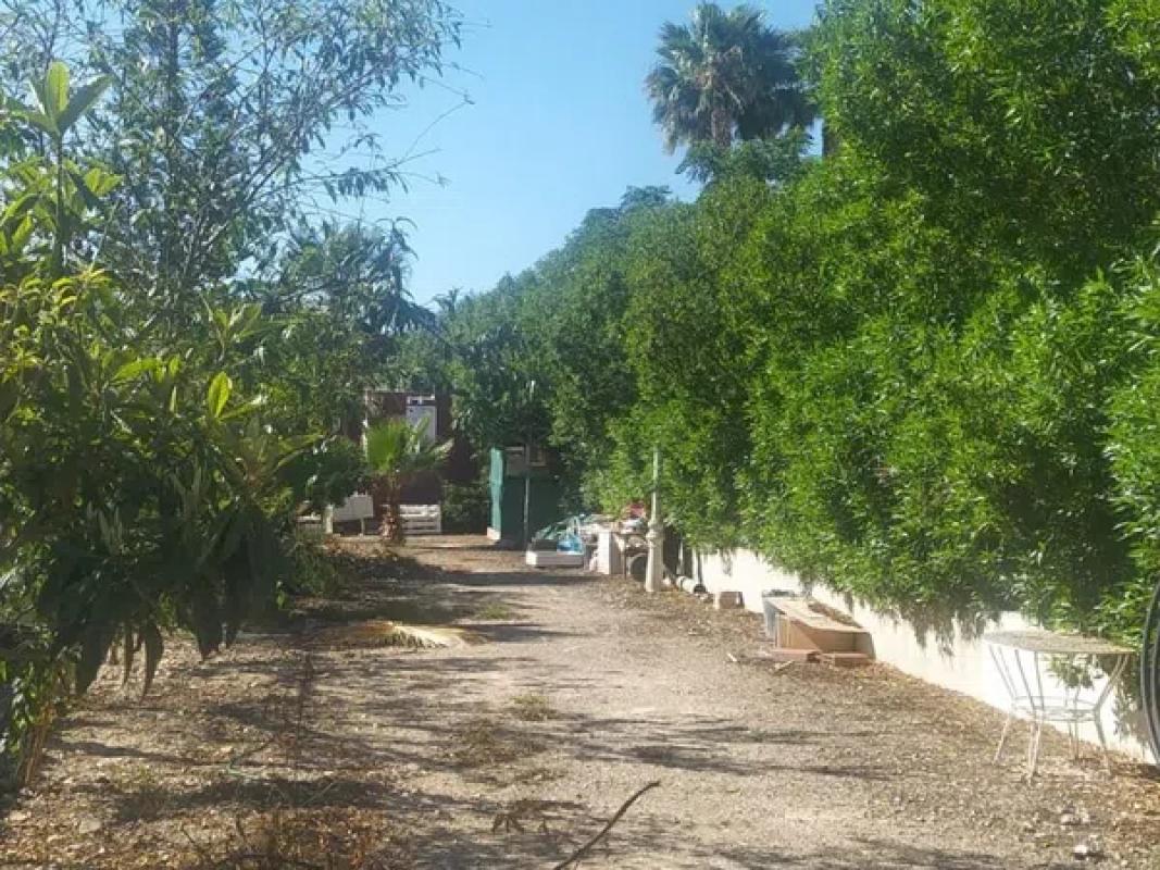Terreno en venta en Dolores, Alicante photo 2