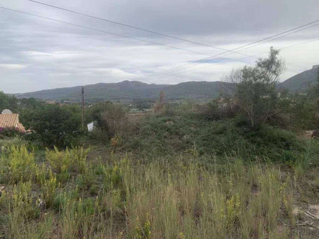 Działka na sprzedaż w Alcalalí, Alicante photo 2