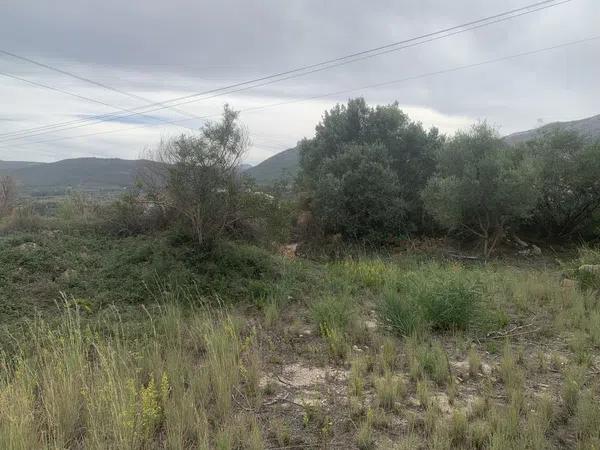 Terreno en Alcalalí photo 3
