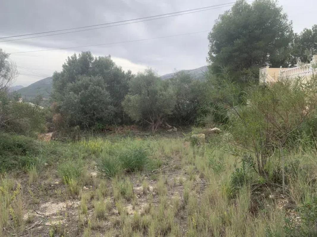 Działka na sprzedaż w Alcalalí, Alicante photo 4