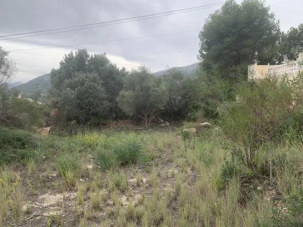 Terreno en Alcalalí photo 4