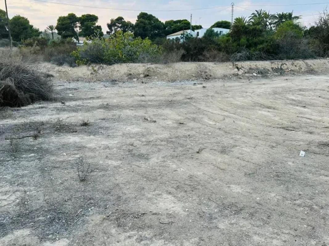 Działka na sprzedaż w Elche / Elx, Alicante photo 1