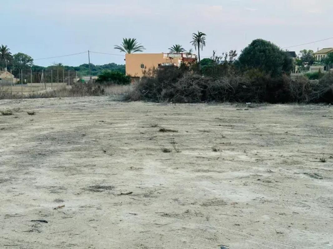 Działka na sprzedaż w Elche / Elx, Alicante photo 3