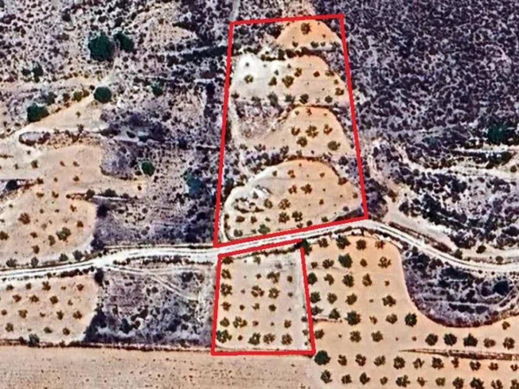 Terreno en venta en Algueña, Alicante photo 2