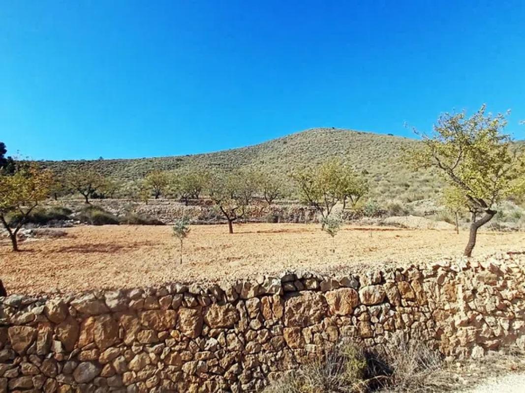 Terreno en venta en Algueña, Alicante photo 4