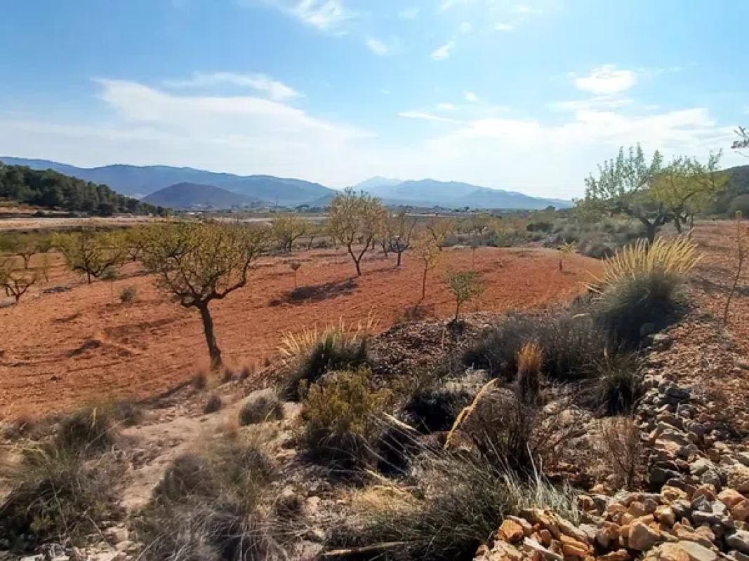 Terreno en venta en Algueña, Alicante photo 5