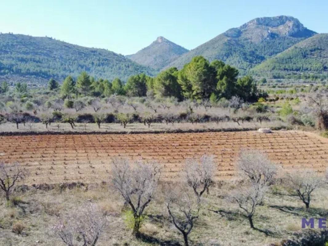 Terreno en venta en Jalón, Alicante photo 1