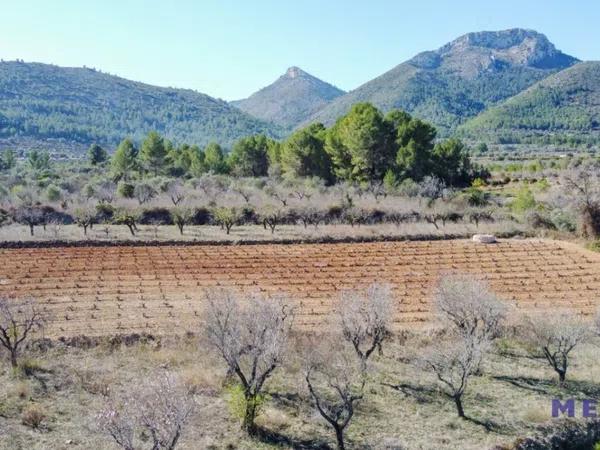 Terreno en Jalón photo 1