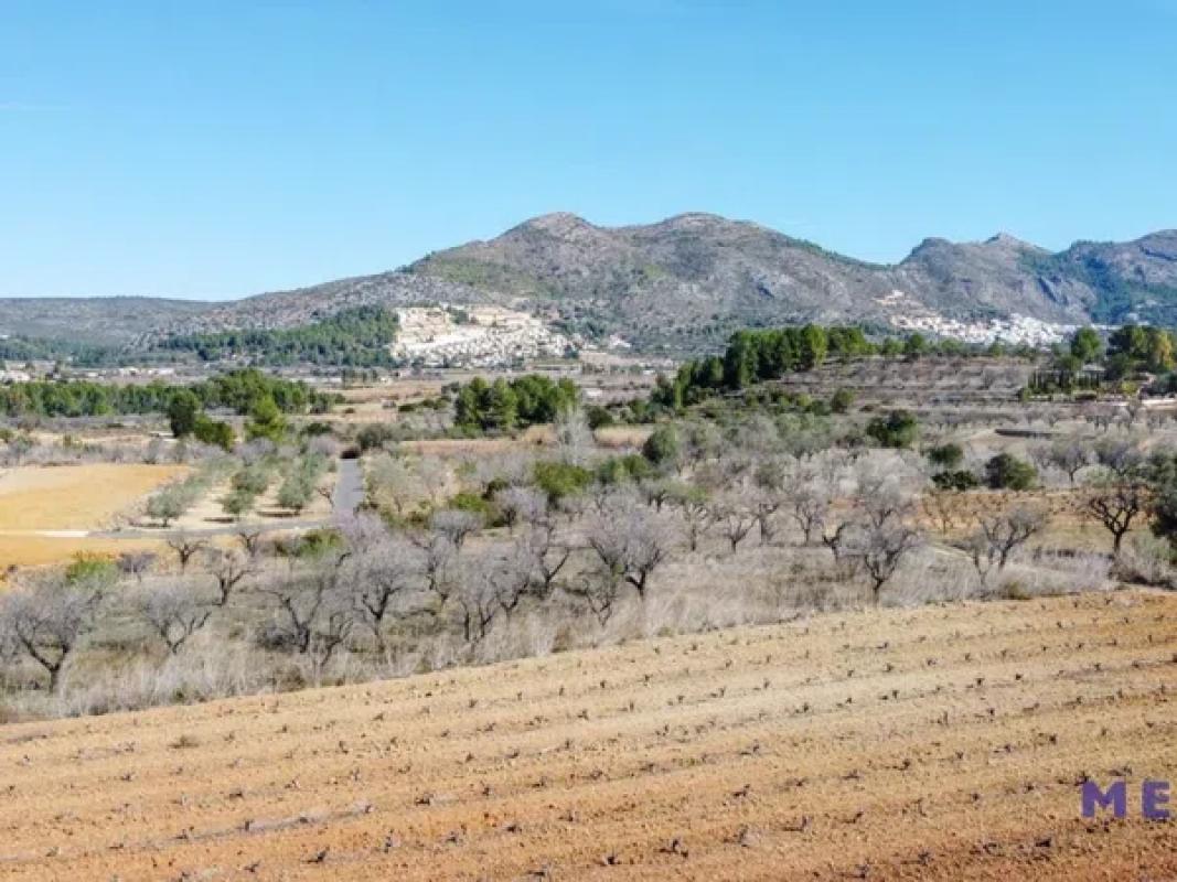 Terreno en venta en Jalón, Alicante photo 2