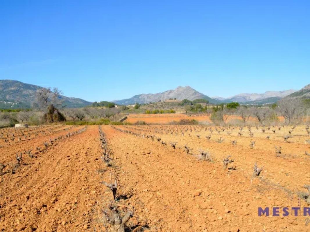 Terreno en venta en Jalón, Alicante photo 4